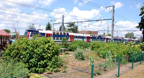 Jardin collectif